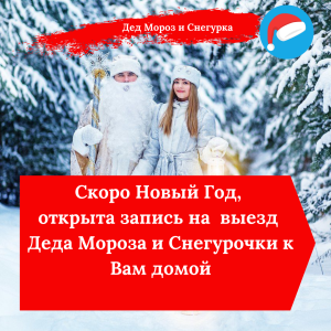 Дед Мороз и Снегурочка на дом 2023 в Минске, Осиповичах