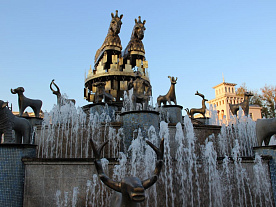 Фотогалерея resort